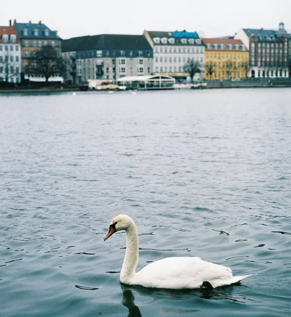 Søerne Copenhagen district